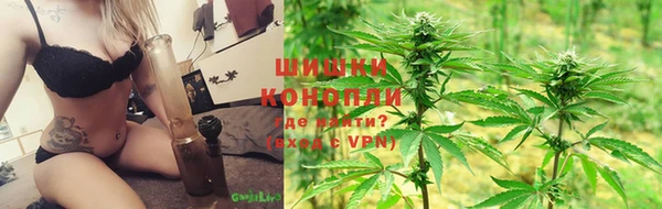 молекула духа Лагань