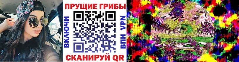 кракен tor  Новочеркасск  Галлюциногенные грибы MAGIC MUSHROOMS 