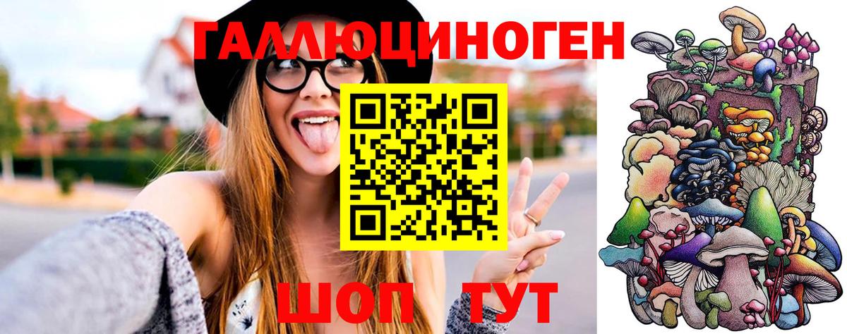 Псилоцибиновые грибы Cubensis  Вход с VPN  Новочеркасск 