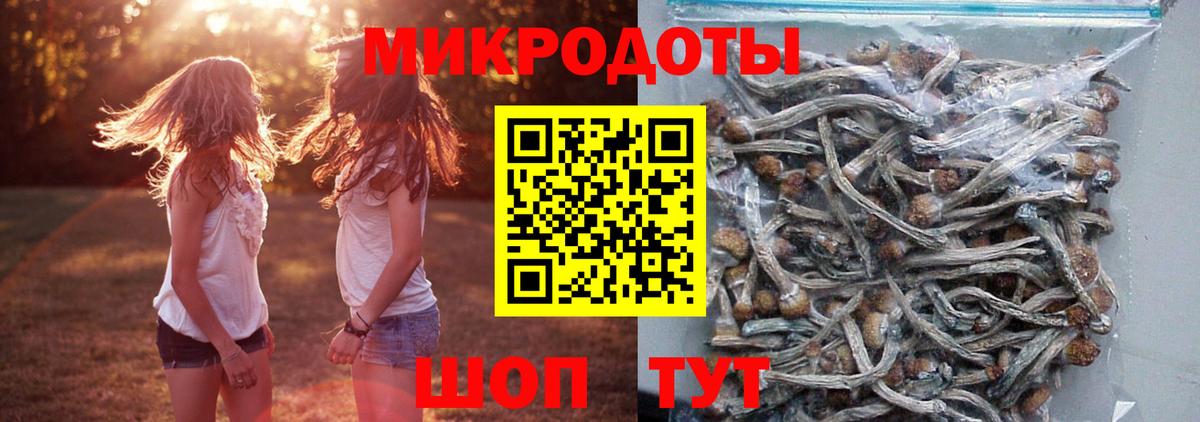 Галлюциногенные грибы Magic Shrooms Новочеркасск
